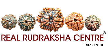 Rudraksha